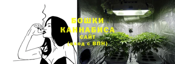 соль ск Белокуриха
