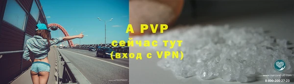 соль ск Белокуриха