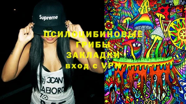 МДПВ Богданович